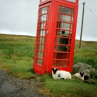 Phone Booth, England